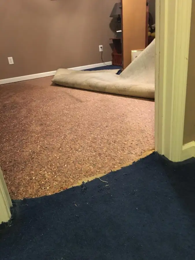 Carpet pad removal revealing water damage during Drying & Dehumidification in Kings Point